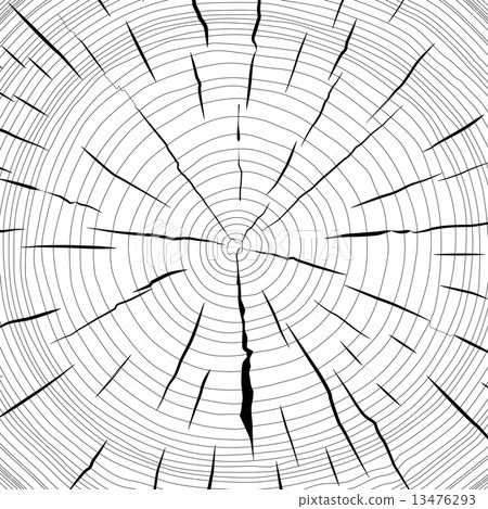 Tree rings saw cut tree trunk background. Vector illustration. 13476293