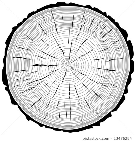 Tree rings saw cut tree trunk background. Vector illustration. Tree rings saw cut tree trunk background. Vector illustration. 13476294