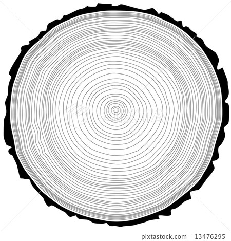 Tree rings saw cut tree trunk background. Vector illustration. Tree rings saw cut tree trunk background. Vector illustration. 13476295