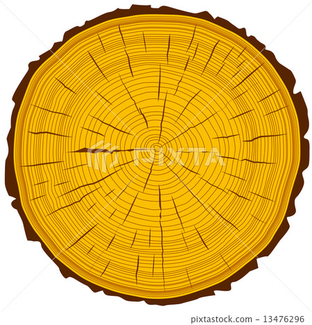 Tree rings saw cut tree trunk background. Vector illustration. Tree rings saw cut tree trunk background. Vector illustration. 13476296