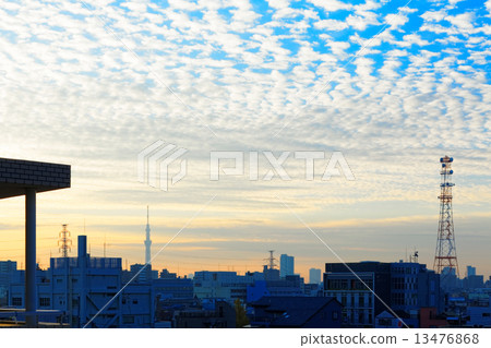 斯卡拉雲在藍天和東京天空樹傳播的清晨市中心 13476868