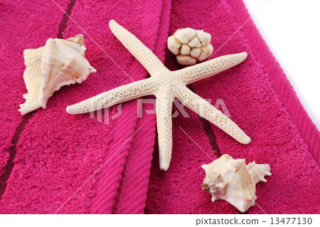 Towels 13477130