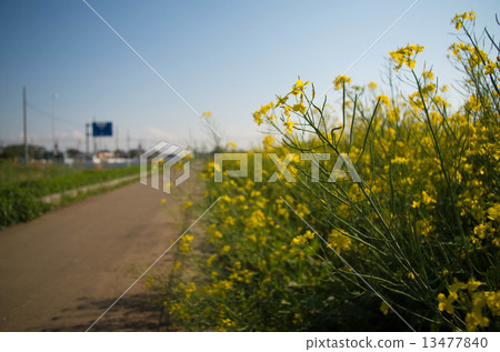 Country road Country road 13477840