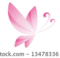 pink butterfly 13478336