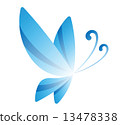 blue butterfly 13478338