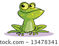 frog cartoon 13478341