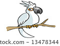 white parrot cartoon 13478344