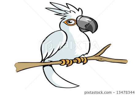 white parrot cartoon 13478344