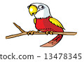 cute parrot cartoon 13478345