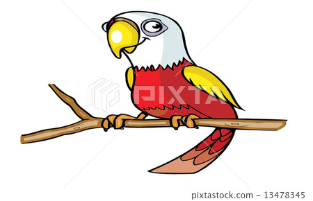 cute parrot cartoon 13478345