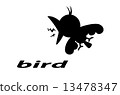 animal bird silhouette 13478347