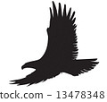 eagle silhouette 13478348