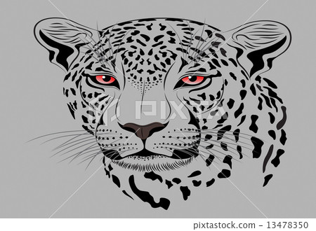 tiger cartoon 13478350