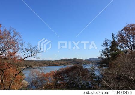 The blue sky is refreshing, Iruka Pond 13478456