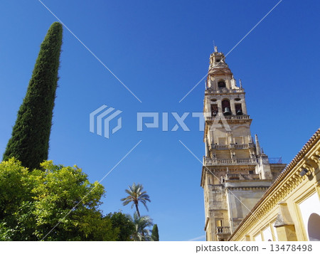 Cordoba Cordoba 13478498