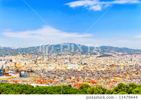 Panorama on Barcelona city from Montjuic castle.Catalonia. Spain 13479444