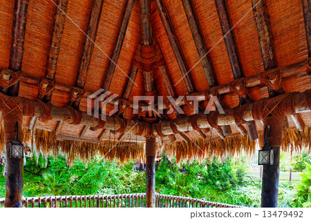 Beautiful landscape of humid tropical jungle. Beautiful landscape of humid tropical jungle. 13479492