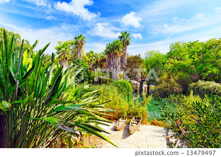 Beautiful landscape of humid tropical jungle. Beautiful landscape of humid tropical jungle. 13479497