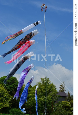    Carp streamer 13480706