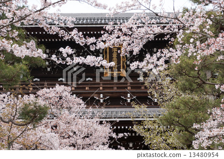 Kurodani Kimiwa Kwantoji猴門 Kurodani Kimiwa Kwantoji猴門 13480954