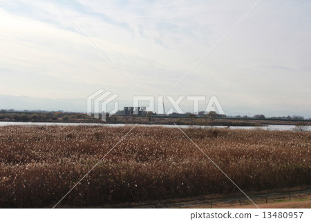 Toneji Ozeki 13480957