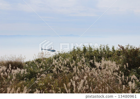 箱根 箱根 13480961