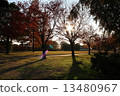 秋天 13480967