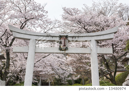Shogun Shrine 13480974