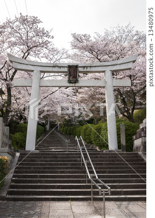 Shogun Shrine 13480975