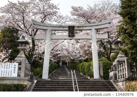 Shogun Shrine 13480976