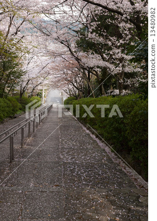 Shogun Shrine Shogun Shrine 13480982