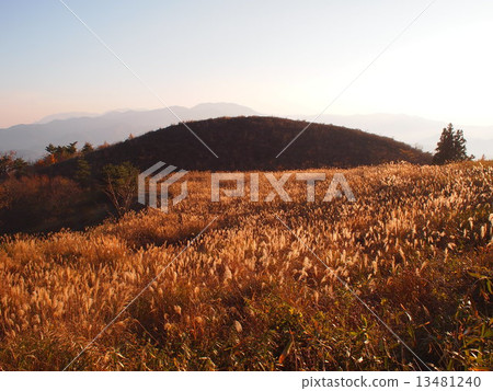 Ibukiyama in autumn 13481240