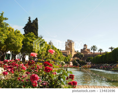 View of Cordoba 13481696