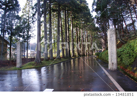 Forest road leading to Linfenji (Niigata prefecture Joetsu city Nakamonee) 13481851