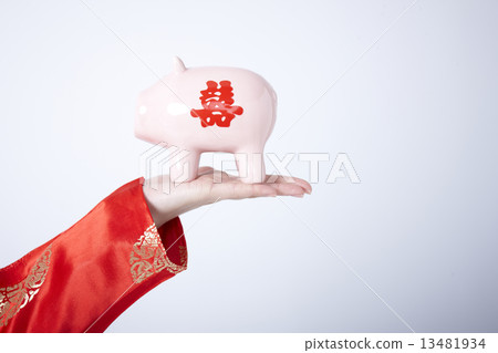 Pig money box 13481934