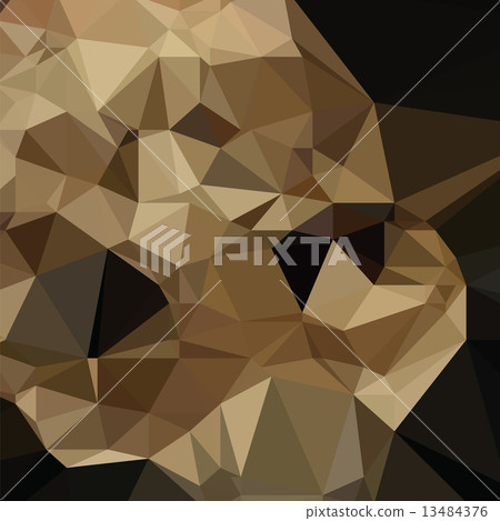 poligonal background 13484376