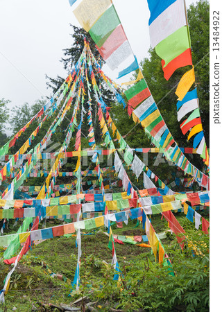 中國雲南省Tokunin蓮花寺Talcho 13484922