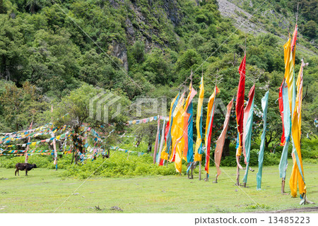 Tunicho, Tokunagi Rainbow Village, Yunnan Province, China 13485223