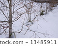 snowscape, snow scene, snow 13485911