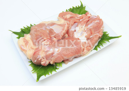 塊大腿的大腿 13485919