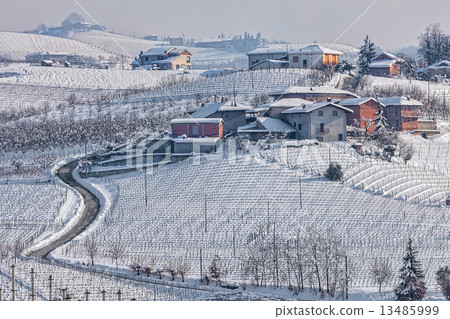 Rural wintry view of Langhe. Rural wintry view of Langhe. 13485999
