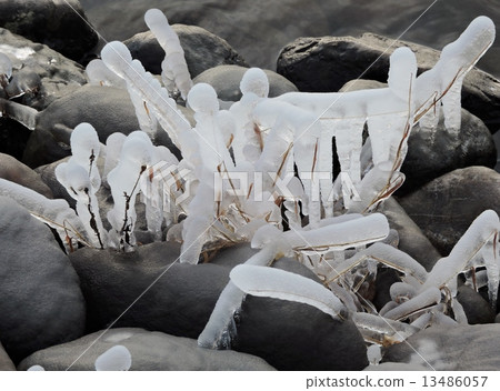 水邊的Ryujinike冰柱 13486057