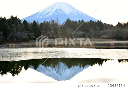 Ryujinike Fuji on the water surface Ryujinike Fuji on the water surface 13486134