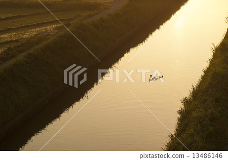 水路 水路 13486146