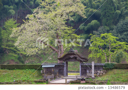 Ichijodani Asakura Clan Ruins 13486579