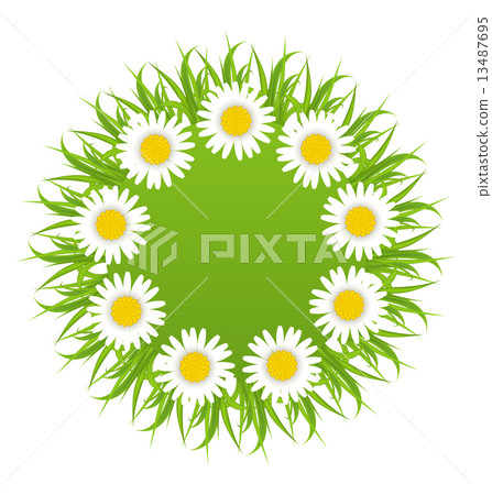 Spring freshness round card with grass and camomiles flowers Spring freshness round card with grass and camomiles flowers 13487695
