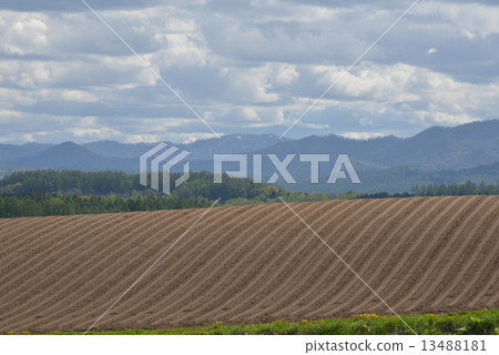 山景觀 山景觀 13488181