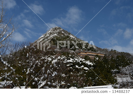 Taruro and the blue sky 13488237