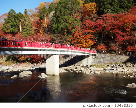 秋天香火Karami河 13488336