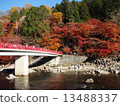 Fragrant Karami River in autumn 13488337